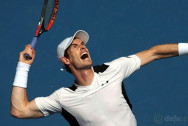 Andy-Murray-Davis-Cup-and-Olympic-gold-medal